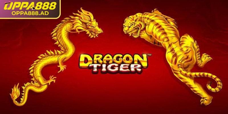 Giới thiệu vài nét về Dragon tiger Oppa888